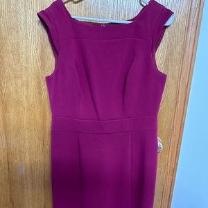 The Limited Dress women size 12